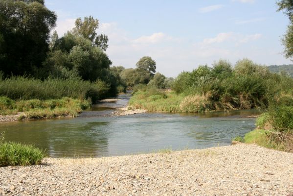 Lascov - Brezov, 19.9.2014
Meandry Topľy.


Mots-clés: Lascov Brezov řeka Topľa