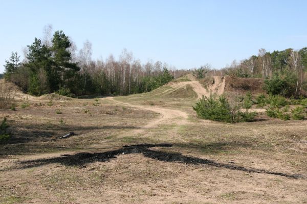 Lázně Bohdaneč, 30.3.2010
Na kovárně - motokrosový areál. Biotop ohroženého pískomilného hmyzu.
Klíčová slova: Lázně Bohdaneč Na kovárně Maladera holosericea