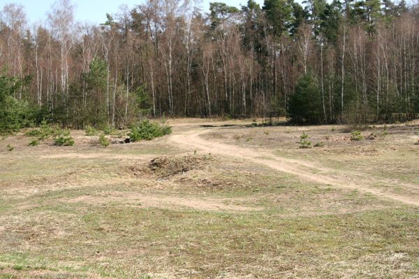 Lázně Bohdaneč, 30.3.2010
Na kovárně - motokrosový areál. Biotop ohroženého pískomilného hmyzu.
Schlüsselwörter: Lázně Bohdaneč Na kovárně Maladera holosericea