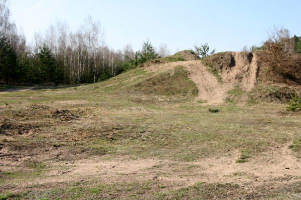 Lázně Bohdaneč, 30.3.2010
Na kovárně - motokrosový areál. Biotop ohroženého pískomilného hmyzu. V pozadí monumentální včelí hrad - hnízdiště samotářských včel. 
Klíčová slova: Lázně Bohdaneč Na kovárně