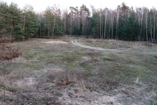 Lázně Bohdaneč, 18.3.2020
Bývalý motokrosový areál Na kovárně.
Klíčová slova: Lázně Bohdaneč Na kovárně Trox sabulosus