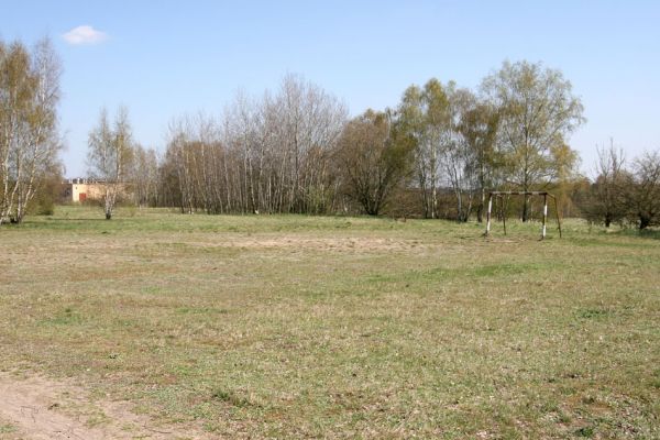 Lázně Bohdaneč, 17.4.2010
Malé hřiště u hřbitova. Tato písčina je domovem svižníků, včel, vosiček i chroustka Maladera holosericea.
Keywords: Lázně Bohdaneč hřiště Maladera holosericea