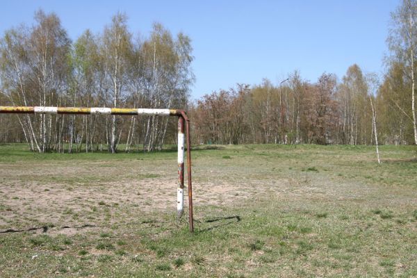 Lázně Bohdaneč, 17.4.2010
Malé hřiště u hřbitova. Tato písčina je domovem svižníků, včel, vosiček i chroustka Maladera holosericea.
Klíčová slova: Lázně Bohdaneč hřiště Maladera holosericea