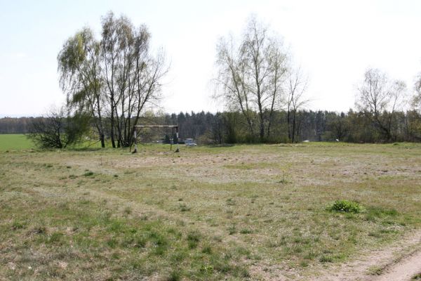 Lázně Bohdaneč, 17.4.2010
Malé hřiště u hřbitova. Tato písčina je domovem svižníků, včel, vosiček i chroustka Maladera holosericea.
Keywords: Lázně Bohdaneč hřiště Maladera holosericea