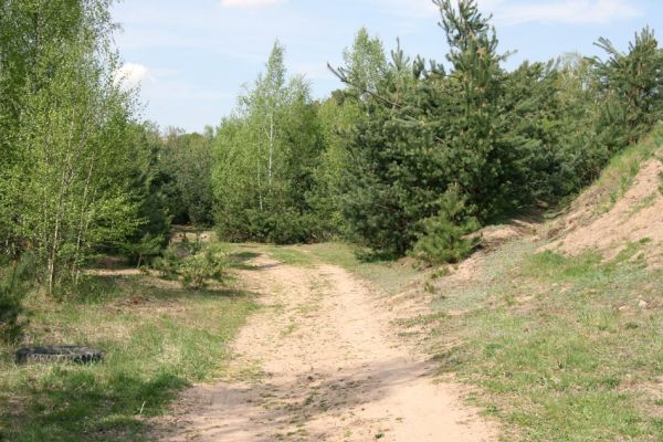 Lázně Bohdaneč, 30.4.2010
Na kovárně - motokrosový areál. Biotop ohroženého pískomilného hmyzu.
Klíčová slova: Lázně Bohdaneč Na kovárně