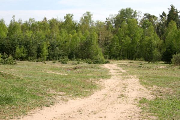 Lázně Bohdaneč, 30.4.2010
Na kovárně - motokrosový areál. Biotop ohroženého pískomilného hmyzu.
Klíčová slova: Lázně Bohdaneč Na kovárně Maladera holosericea