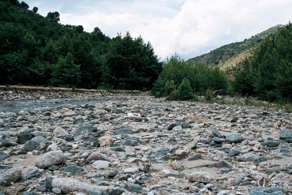 Lebnica, 5.6.2006
Štěrkové náplavy říčky Lebnice. Biotop kovaříků Zorochros alysidotus a Z. kourili.



Mots-clés: Lebnica Lebnica river Zorochros alysidotus kourili