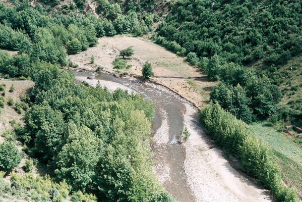 Lebnica, 5.6.2006
Štěrkové náplavy říčky Lebnice.


Schlüsselwörter: Lebnica Lebnica river Zorochros alysidotus kourili meridionalis quadriguttatus Paracardiophorus musculus