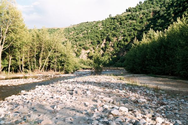 Lebnica, 5.6.2006
Štěrkové náplavy říčky Lebnice. Biotop kovaříků Zorochros alysidotus a Z. kourili.


Klíčová slova: Lebnica Lebnica river Zorochros alysidotus kourili