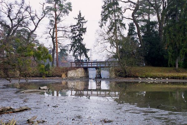 Lednice, 13.11.2002
Zámecký rybník.

Schlüsselwörter: Lednice Zámecký rybník