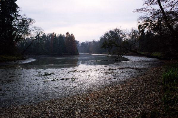 Lednice, 13.11.2002
Zámecký rybník.



Schlüsselwörter: Lednice Zámecký rybník