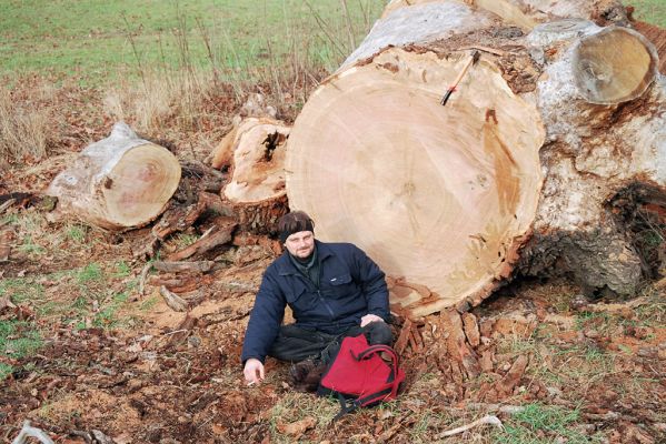 Lednice, 19.12.2004
Rozřezaný dub na louce u Staré Dyje.
Klíčová slova: Lednice U Hubertky Dušánek