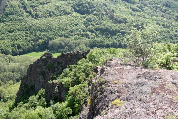 Lehôtka pod Brehmi, 8.5.2016
Štiavnické vrchy, vrch Gráfovská - Kapitulské bralá.
Klíčová slova: Lehôtka pod Brehmi Štiavnické vrchy vrch Gráfovská Kapitulské bralá