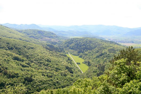 Lehôtka pod Brehmi, 8.5.2016
Štiavnické vrchy, vrch Gráfovská - Kapitulské bralá. Pohled na údolí Teplé.
Klíčová slova: Lehôtka pod Brehmi Štiavnické vrchy vrch Gráfovská Kapitulské bralá