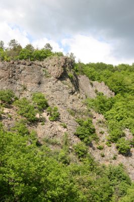Lehôtka pod Brehmi, 8.5.2016
Štiavnické vrchy, vrch Gráfovská - Kapitulské bralá.
Keywords: Lehôtka pod Brehmi Štiavnické vrchy vrch Gráfovská Kapitulské bralá Cardiophorus anticus