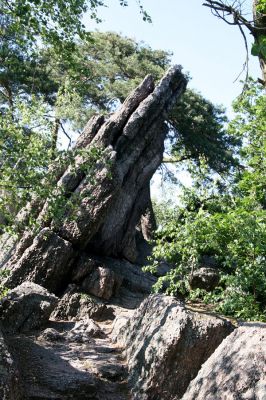 Lelekovice, rezervace Babí lom, 23.5.2009
Skalnatý hřbet mezi vrcholem a rozhlednou.
Schlüsselwörter: Lelekovice Babí lom