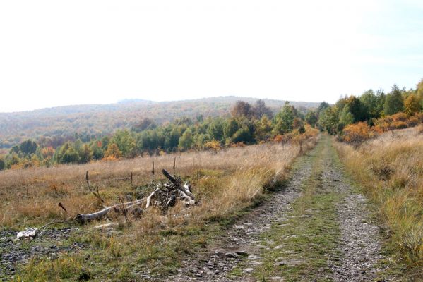 Lentvora, 12.10.2013
Pastviny a jižně od obce - cesta na Lysec (vlevo).

Mots-clés: Krupinská planina Ostrožky Lentvora Lysec