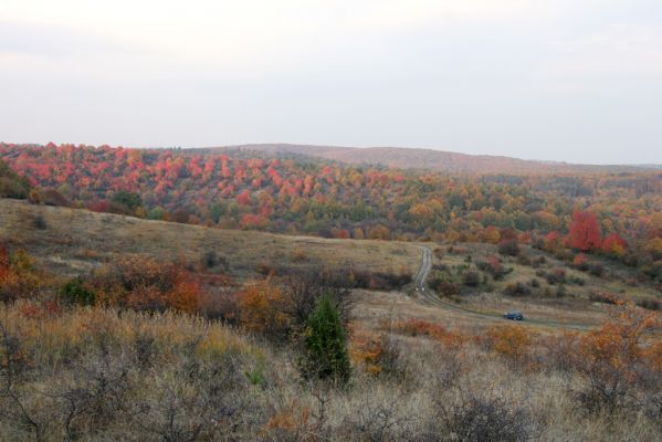 Lentvora, 12.10.2013
Pastviny a zarůstající sady jižně od obce.



Klíčová slova: Krupinská planina Ostrožky Lentvora