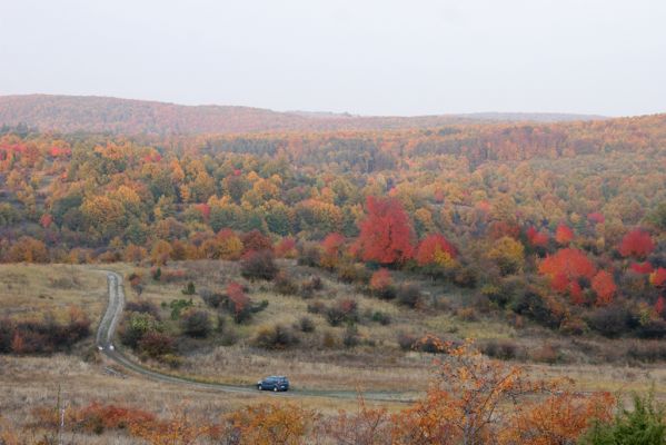 Lentvora, 12.10.2013
Pastviny a zarůstající sady jižně od obce.



Klíčová slova: Krupinská planina Ostrožky Lentvora