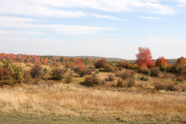 Lentvora, 12.10.2013
Pastviny a zarůstající sady jižně od obce.



Klíčová slova: Krupinská planina Ostrožky Lentvora