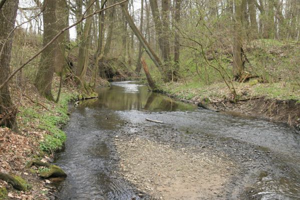 Veselí, 5.4.2008
Lepějovice – Přírodní památka meandry Strúhy.



Schlüsselwörter: Veselí Lepějovice PP Meandry Strúhy