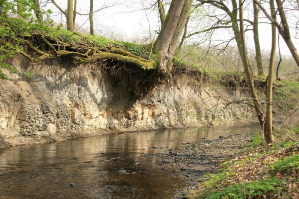 Veselí, 5.4.2008
Lepějovice – Přírodní památka meandry Strúhy.



Klíčová slova: Veselí Lepějovice PP Meandry Strúhy