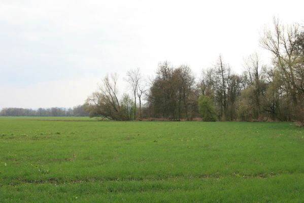 Veselí, 5.4.2008
Lepějovice – Přírodní památka meandry Strúhy.



Klíčová slova: Veselí Lepějovice PP Meandry Strúhy