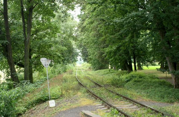 Jičín - Libosad, 15.8.2007
Parkem prochází železniční trať z Jičína do Turnova.
Schlüsselwörter: Jičín Libosad park