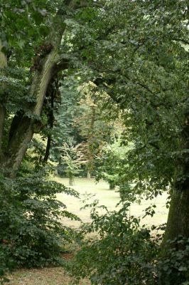 Jičín - Libosad, 15.8.2007
Staré lípy na severovýchodním okraji parku.
Schlüsselwörter: Jičín Libosad park