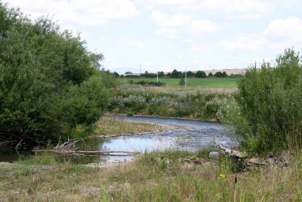 Liesek, 2.8.2013
Štěrkové náplavy v meandrech řeky Oravice západně od obce.

Schlüsselwörter: Liesek Oravica Zorochros dermestoides