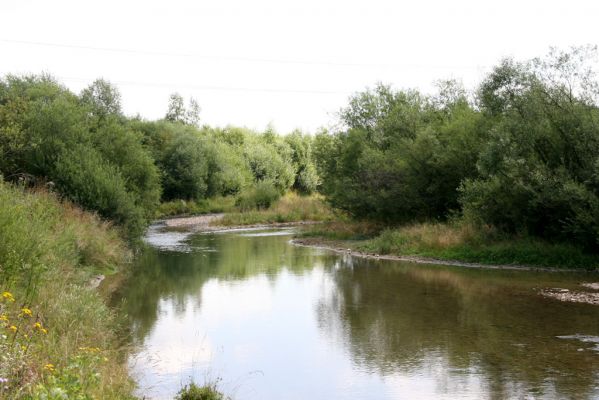 Liesek, 2.8.2013
Štěrkové náplavy v meandrech řeky Oravice západně od obce.

Klíčová slova: Liesek Oravica Zorochros dermestoides