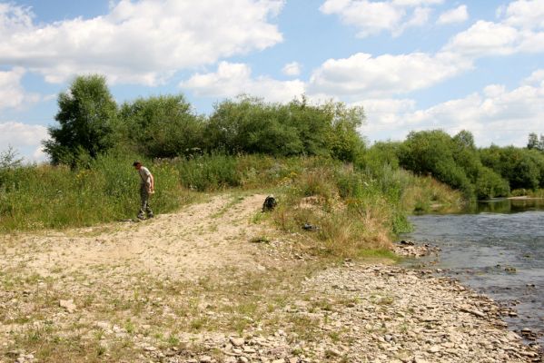 Liesek, 2.8.2013
Štěrkové náplavy v meandrech řeky Oravice západně od obce. Kolega Ondrej Šauša.



Klíčová slova: Liesek Oravica Zorochros dermestoides Šauša