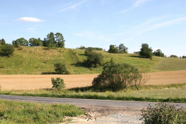 Lipovka, 29.7.2009
Step s třešněmi na severozápadním svahu. 
Klíčová slova: Lipovka