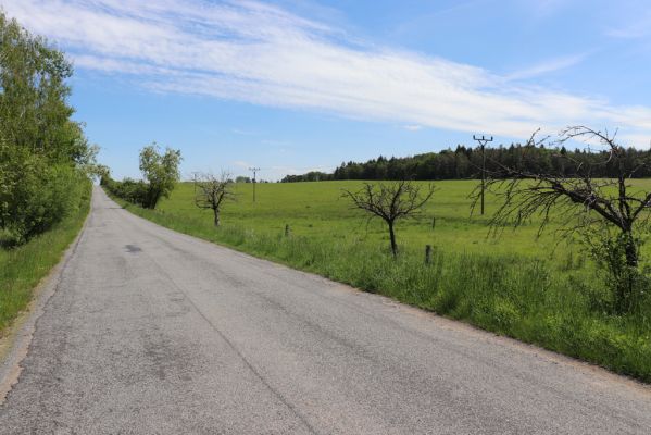 Litošice, 24.5.2019
Pastvina.
Schlüsselwörter: Litošice pastvina