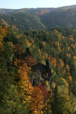 Loket, údolí Ohře, 8.10.2008
Pohled ze svahu od hájovny Vildenavy přes údolí Ohře na východ.
Klíčová slova: Slavkovský les Loket údolí Ohře