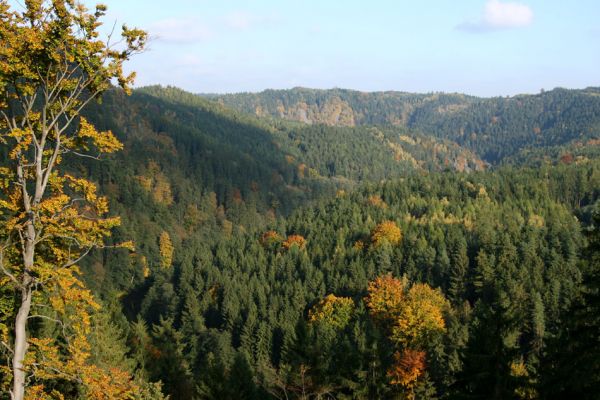 Loket, údolí Ohře, 8.10.2008
Pohled z hřbetu nad hájovnou Vildenavou na východ na Svatošské skály a Vysoký hřbet.
Keywords: Slavkovský les Loket údolí Ohře Vysoký hřbet