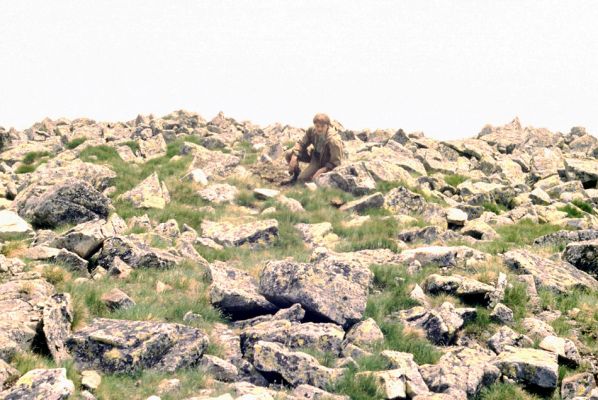 Lomnický štít, 19.7.1991
Lomnický hrebeň. Pohled na biotop kovaříka Selatosomus confluens.
Schlüsselwörter: Vysoké Tatry Lomnický štít Lomnický hrebeň Selatosomus confluens Dušánek