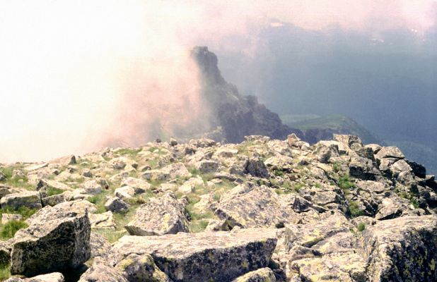 Lomnický štít, 19.7.1991
Lomnický hrebeň. Pohled na biotop kovaříka Selatosomus confluens.
Schlüsselwörter: Vysoké Tatry Lomnický štít Lomnický hrebeň Selatosomus confluens