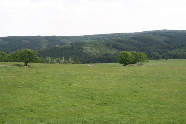 Loučná pod Klínovcem, Háj, 26.5.2012
Pohled z Hájského kopce na údolí Černé vody.
Klíčová slova: Krušné hory Loučná pod Klínovcem Háj Hájský kopec Černá voda