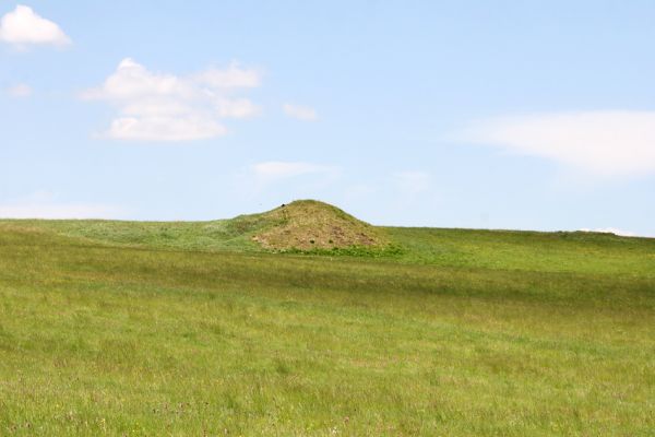 Loučná pod Klínovcem, Háj, 26.5.2012
Hájský kopec. Uměle vytvořený vršek - biotop kovaříků Sericus brunneus. 
Klíčová slova: Krušné hory Loučná pod Klínovcem Háj Hájský kopec Sericus brunneus