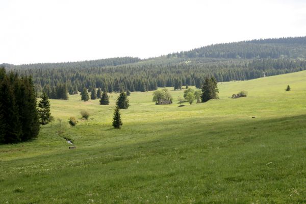 Loučná pod Klínovcem, Háj, 26.5.2012
Údolí Černé vody u Königova Mlýna.
Klíčová slova: Krušné hory Loučná pod Klínovcem Háj Černá voda Königův Mlýn
