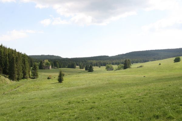 Loučná pod Klínovcem, Háj, 26.5.2012
Údolí Černé vody u Königova Mlýna.
Klíčová slova: Krušné hory Loučná pod Klínovcem Háj Černá voda Königův Mlýn
