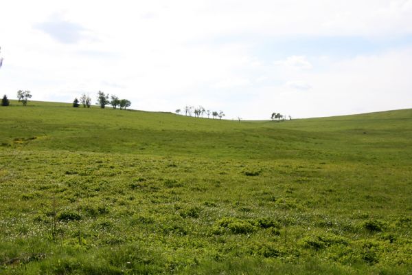 Loučná pod Klínovcem, Háj, 26.5.2012
Údolí Černé vody u Königova Mlýna.
Mots-clés: Krušné hory Loučná pod Klínovcem Háj Černá voda Königův Mlýn