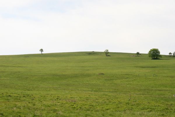 Loučná pod Klínovcem, Háj, 26.5.2012
Pohled na Hájský kopec od Königova Mlýna.
Keywords: Krušné hory Loučná pod Klínovcem Háj Černá voda Königův Mlýn