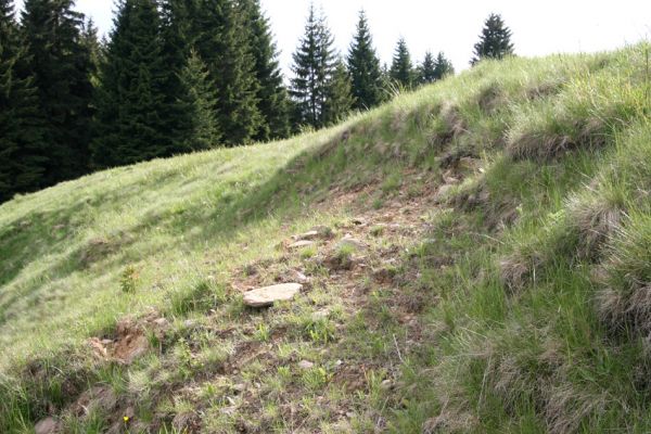 Loučná pod Klínovcem, Háj, 26.5.2012
Sutý svah v údolí Černé vody. Biotop kovaříka Aplotarsus angustulus.
Keywords: Krušné hory Loučná pod Klínovcem Háj Černá voda Aplotarsus angustulus