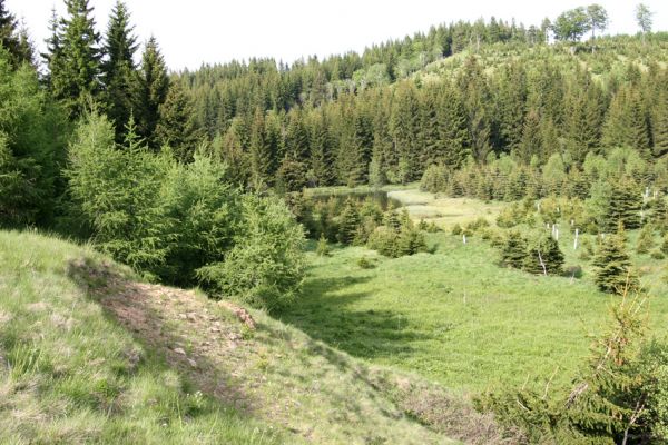 Loučná pod Klínovcem, Háj, 26.5.2012
Sutý svah v údolí Černé vody. Biotop kovaříka Aplotarsus angustulus.
Keywords: Krušné hory Loučná pod Klínovcem Háj Černá voda Aplotarsus angustulus