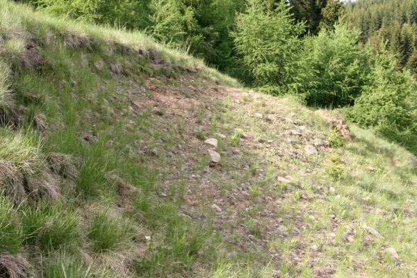 Loučná pod Klínovcem, Háj, 26.5.2012
Sutý svah v údolí Černé vody. Biotop kovaříka Aplotarsus angustulus.
Mots-clés: Krušné hory Loučná pod Klínovcem Háj Černá voda Aplotarsus angustulus