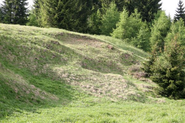 Loučná pod Klínovcem, Háj, 26.5.2012
Sutý svah v údolí Černé vody. Biotop kovaříka Aplotarsus angustulus.
Klíčová slova: Krušné hory Loučná pod Klínovcem Háj Černá voda Aplotarsus angustulus