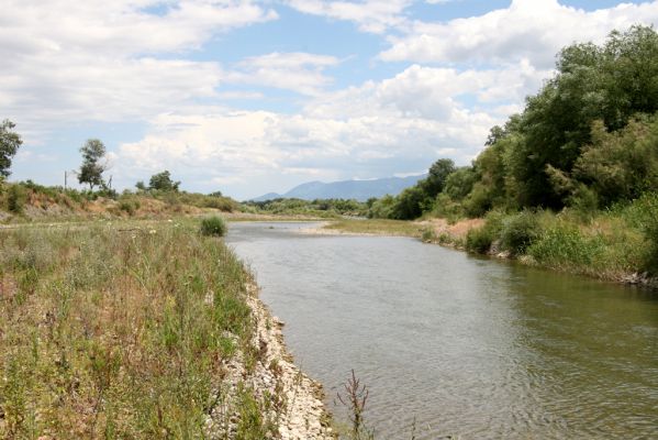 Loutra Ipatis, 31.5.2014
Štěrkové náplavy řeky Spercheios. 



Schlüsselwörter: Loutra Ipatis Spercheios river