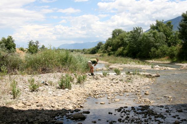 Loutra Ipatis, 31.5.2014
Štěrkové náplavy řeky Spercheios. Biotop kovaříka Zorochros alysidotus a Z. kourili.

Mots-clés: Loutra Ipatis Spercheios river Zorochros alysidotus kourili Bořivoj Zbuzek